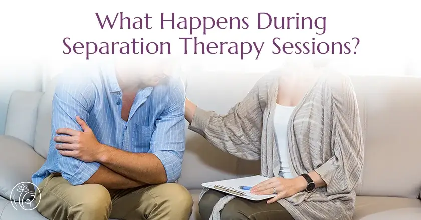 What Happens During Separation Therapy Sessions?