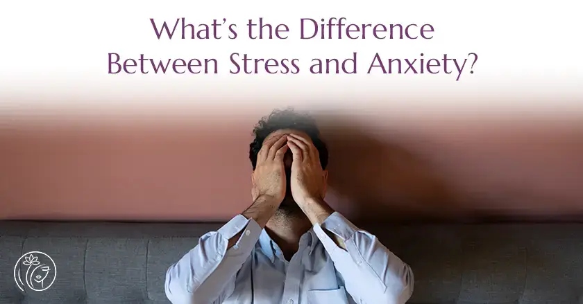 stress and anxiety